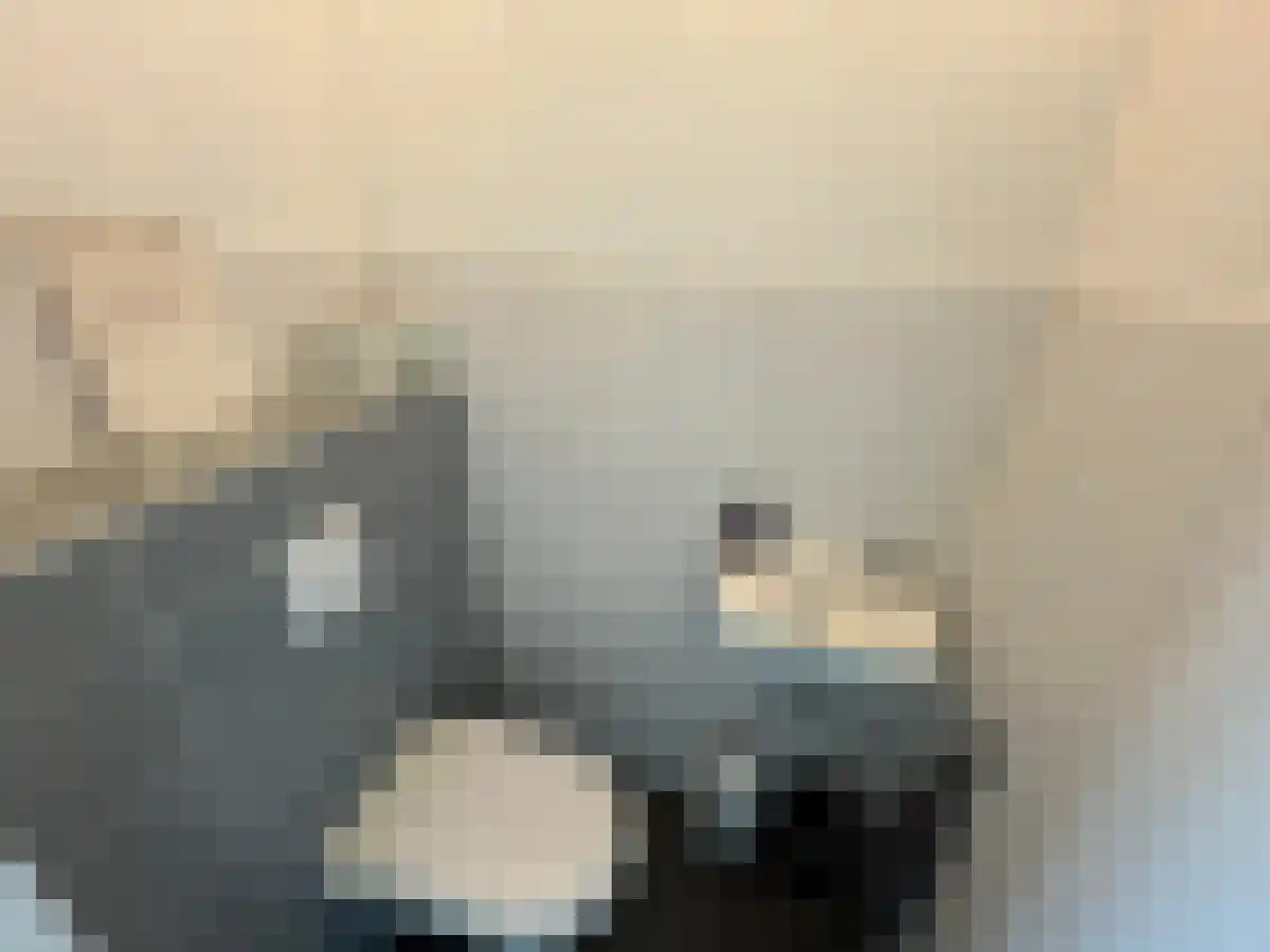 Abdijlaan 84 Uden thumbnail 6