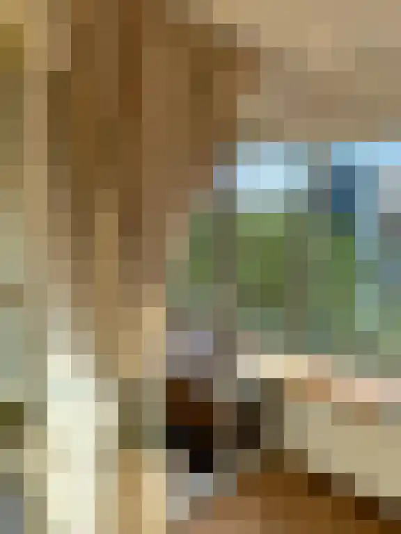 Abdijlaan 85 Uden thumbnail 4