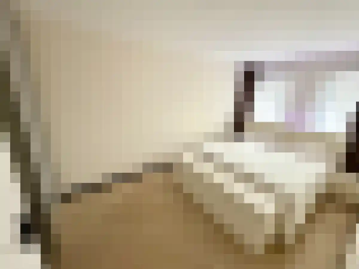 Abdijlaan 874 Uden thumbnail 6