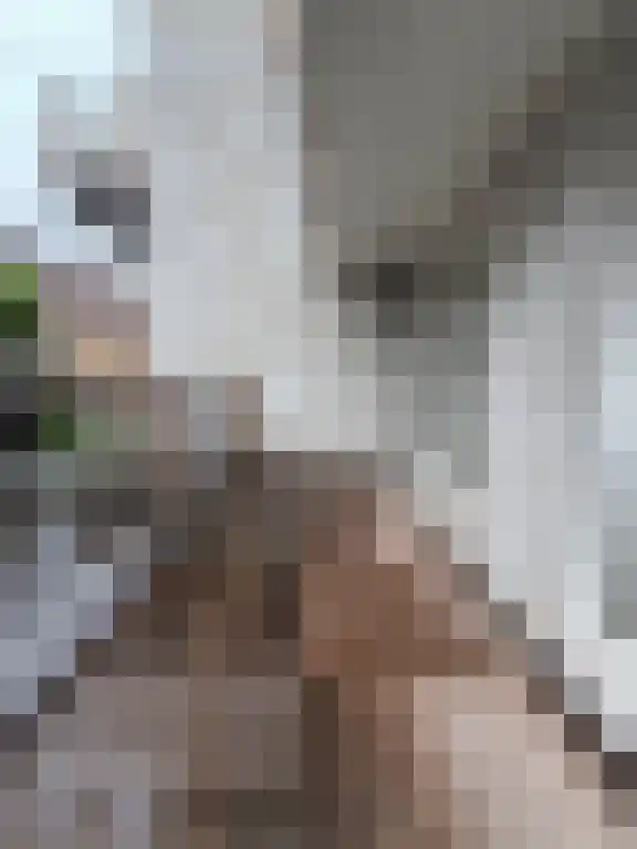 Abdijlaan 88 C Uden foto 3