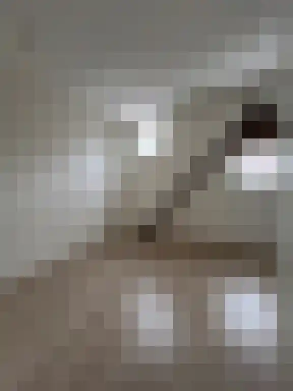 Abdijlaan 88 C Uden thumbnail 5