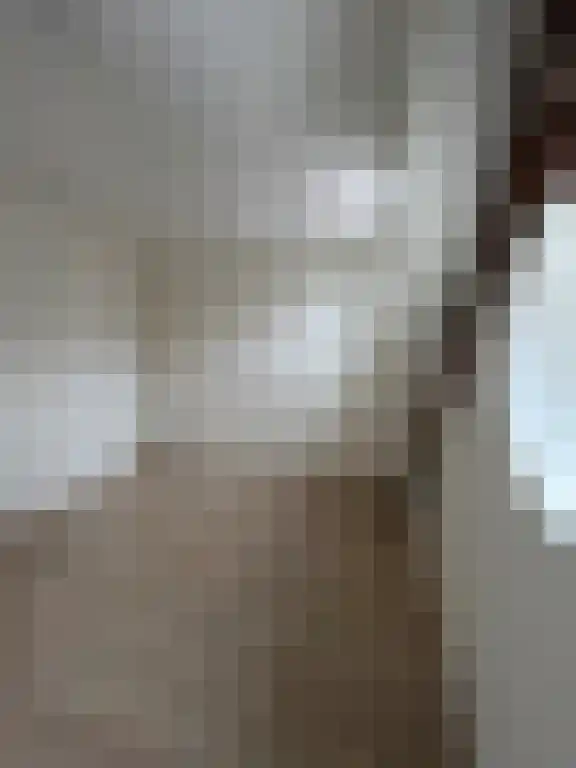 Abdijlaan 88 C Uden thumbnail 6