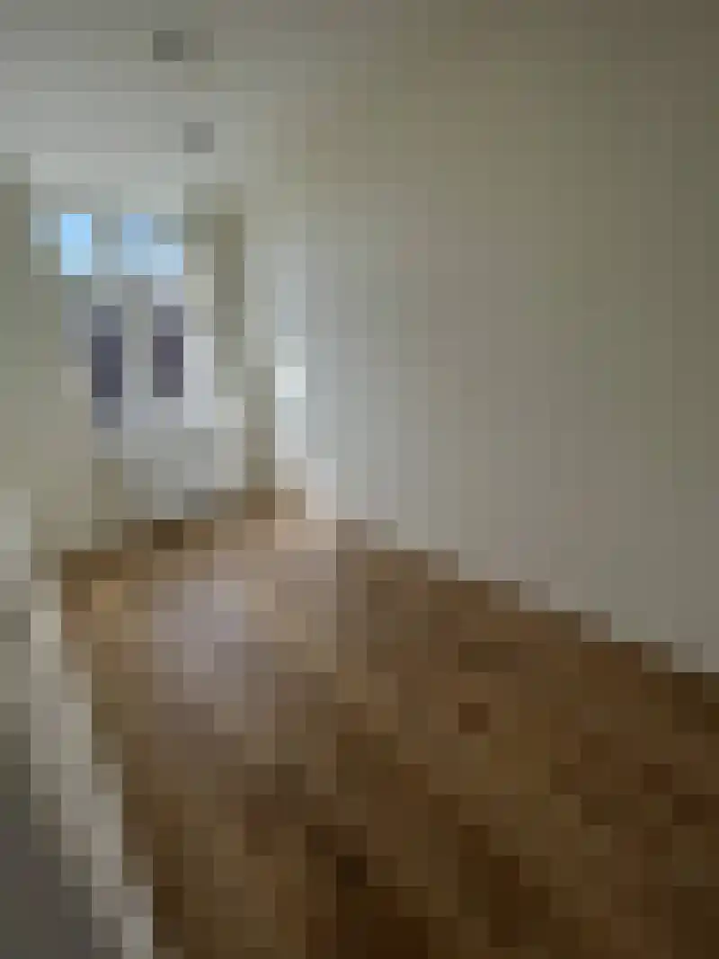 Abdijlaan 88 Uden thumbnail 9