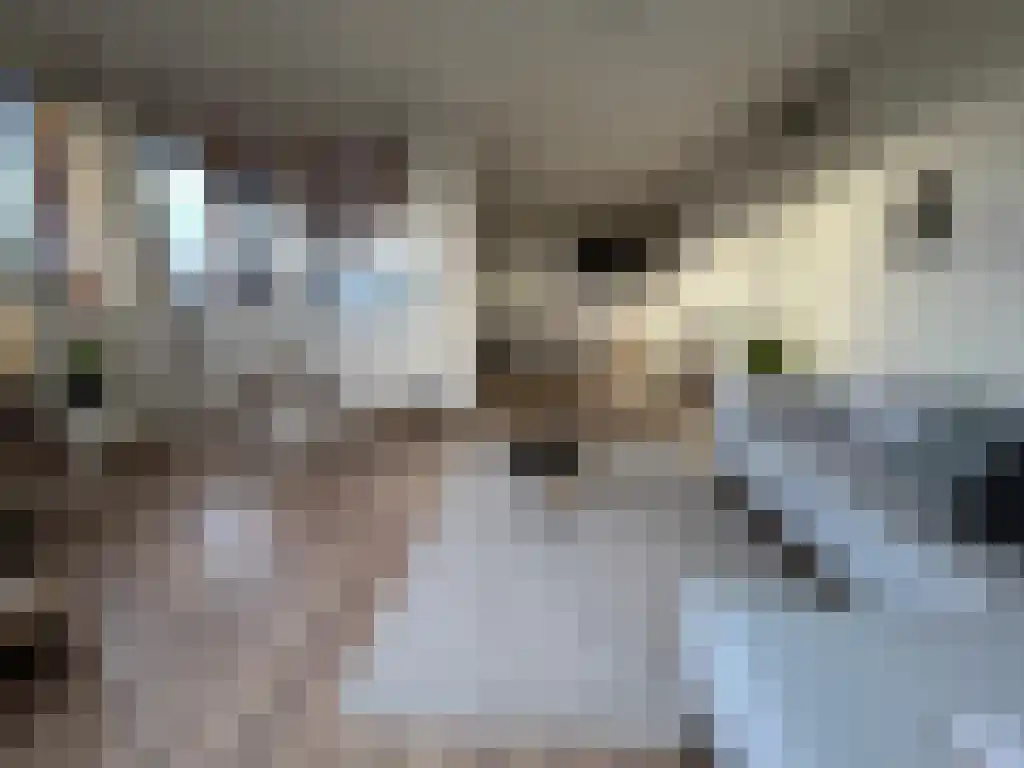 Abdijlaan 89 Uden thumbnail 4
