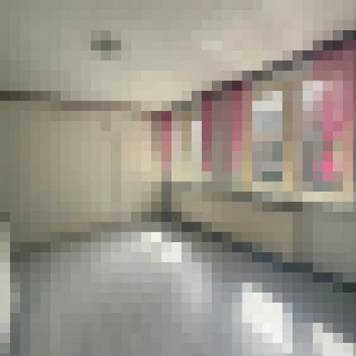Abdijlaan 9 1 Uden thumbnail 5