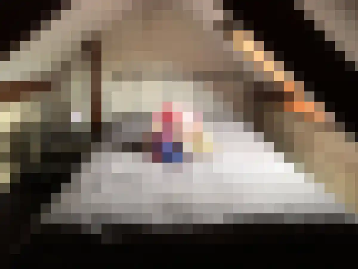 Abdijlaan 9 1 Uden thumbnail 6
