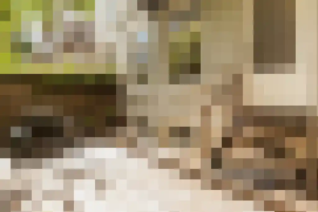 Abdijlaan 9 H Uden thumbnail 4