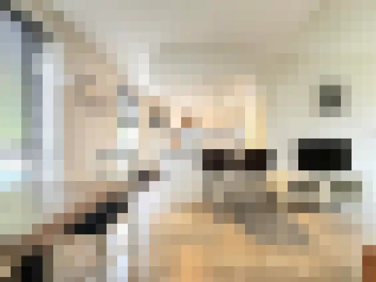 Abdijlaan 9 Uden foto 3