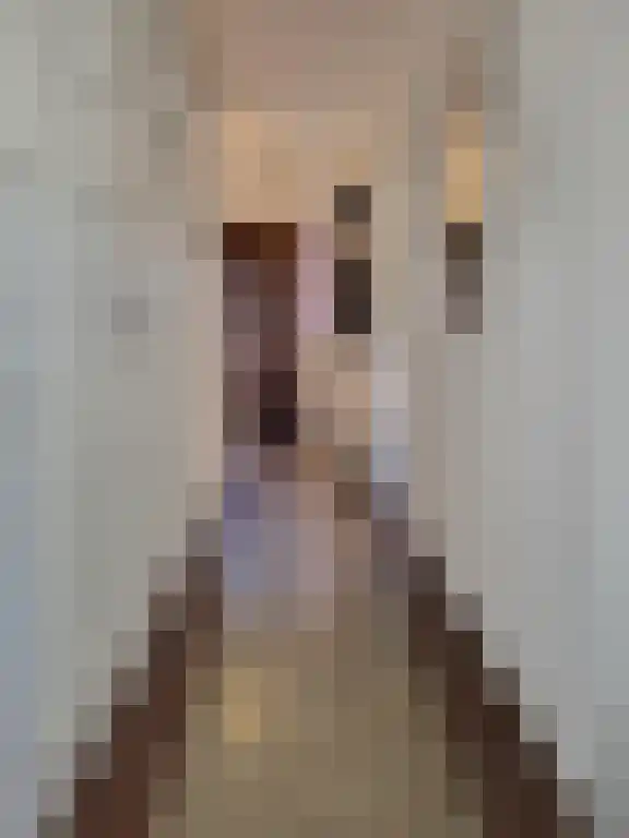 Abdijlaan 9 Uden foto 3
