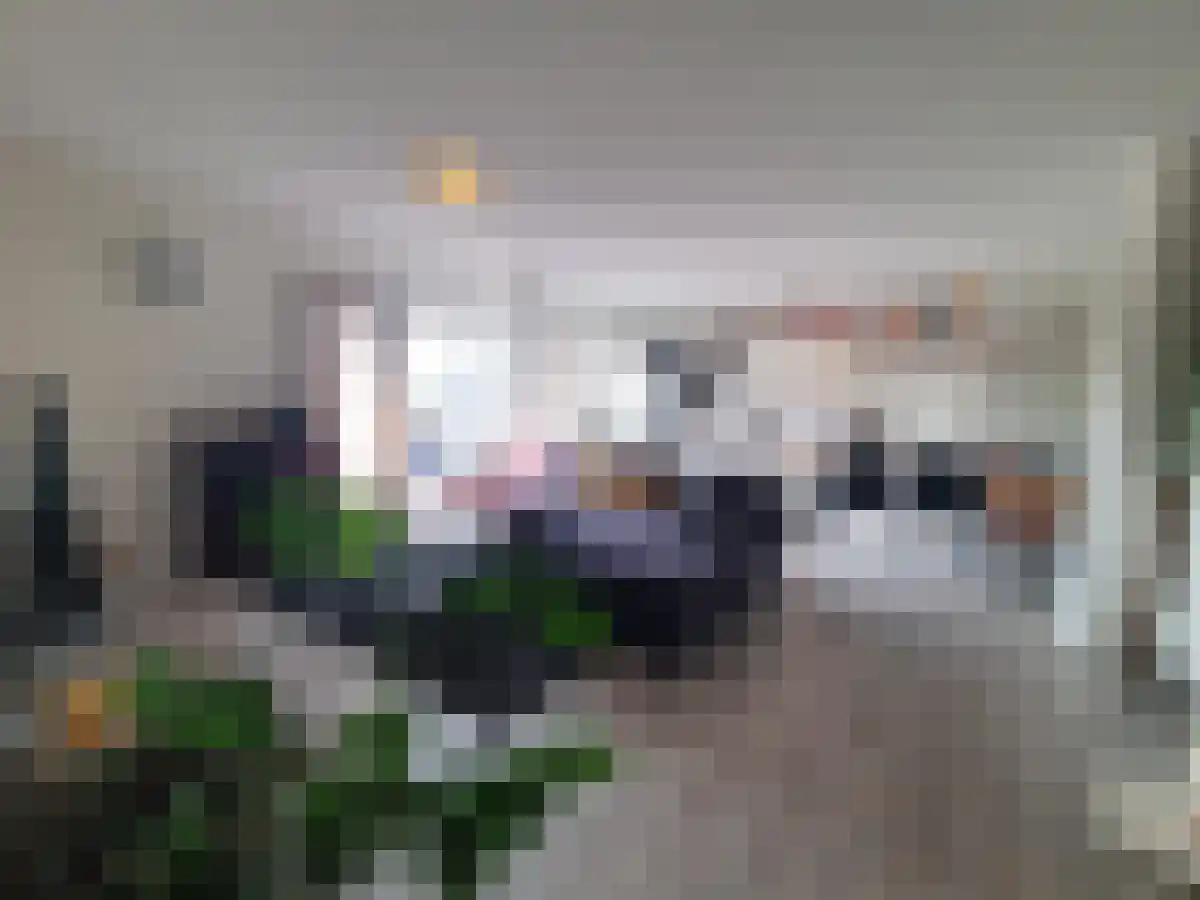 Abdijlaan 9 Uden thumbnail 4