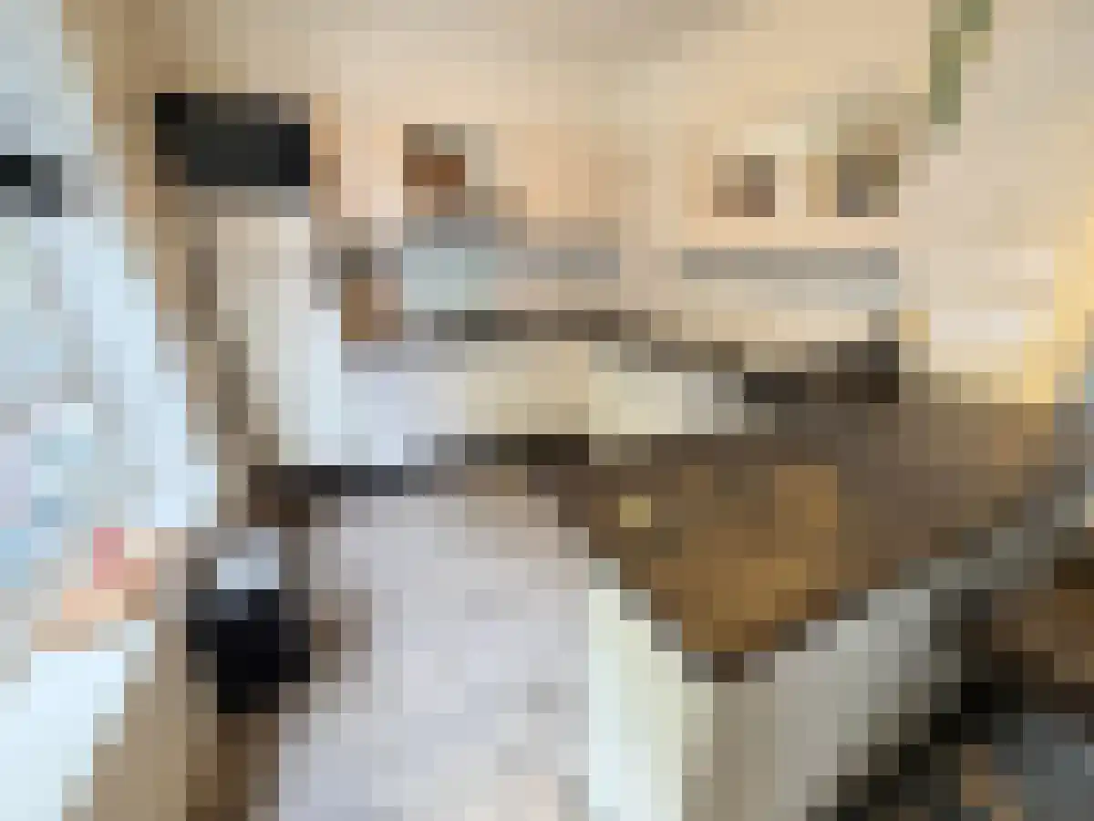 Abdijlaan 9 Uden thumbnail 4