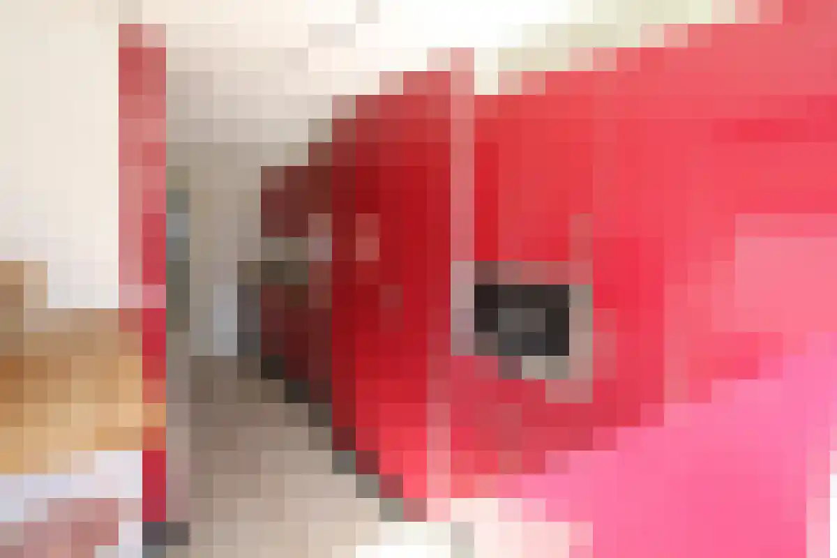 Abdijlaan 9 Uden thumbnail 5