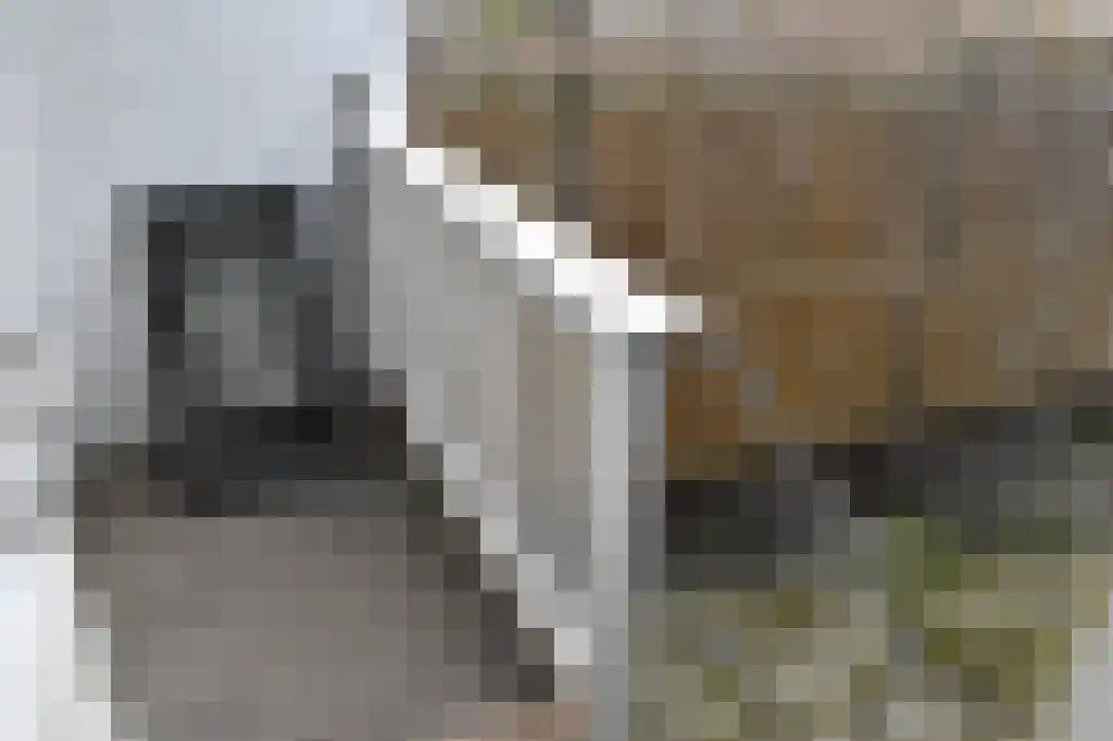 Abdijlaan 9 Uden thumbnail 5