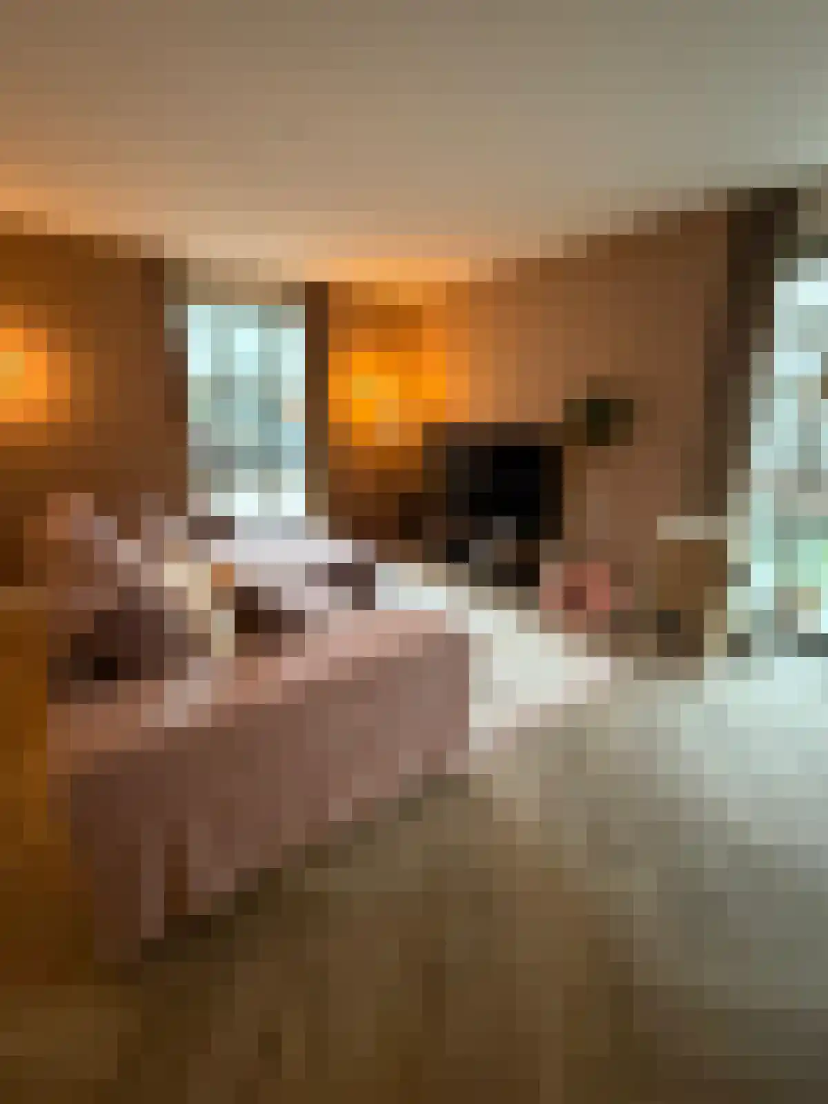 Abdijlaan 9 Uden thumbnail 6