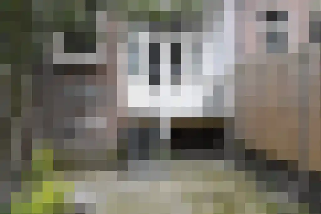 Abdijlaan 9 Uden thumbnail 6