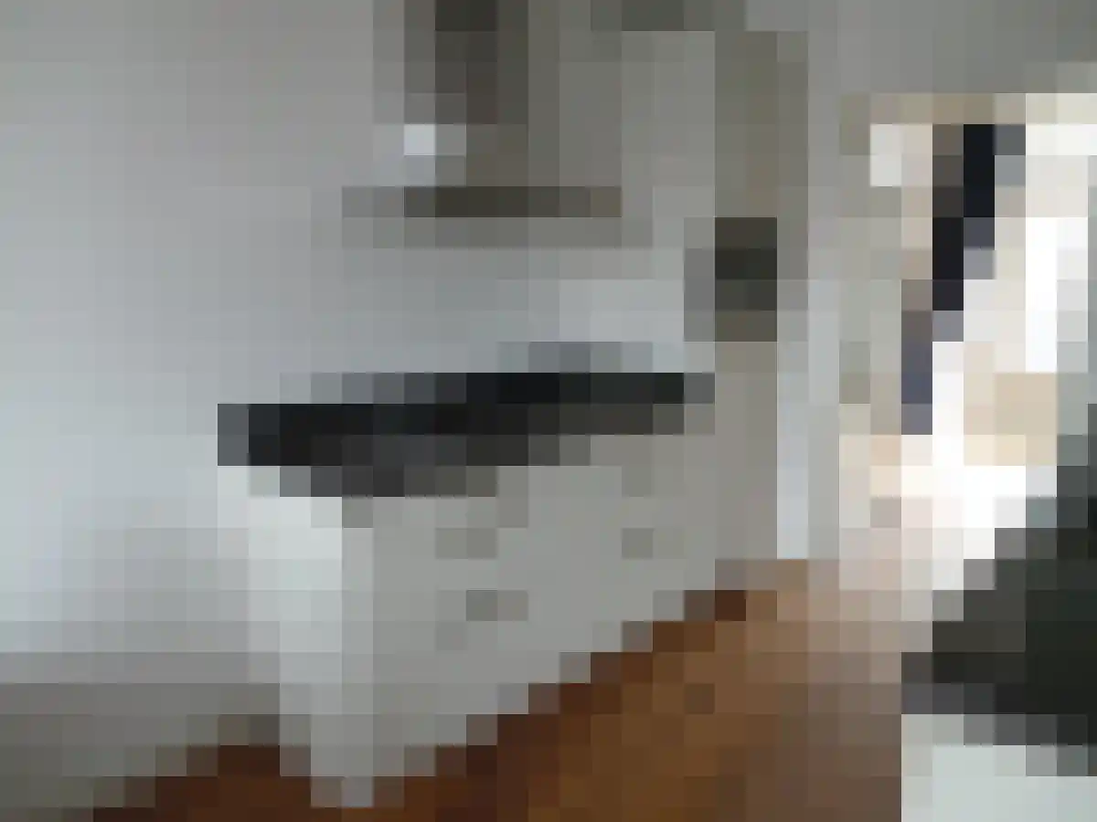 Abdijlaan 94 Uden thumbnail 5