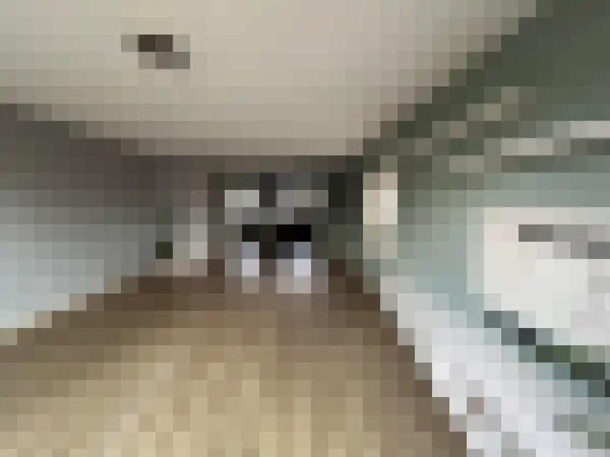 Abdijlaan 94 Uden thumbnail 6