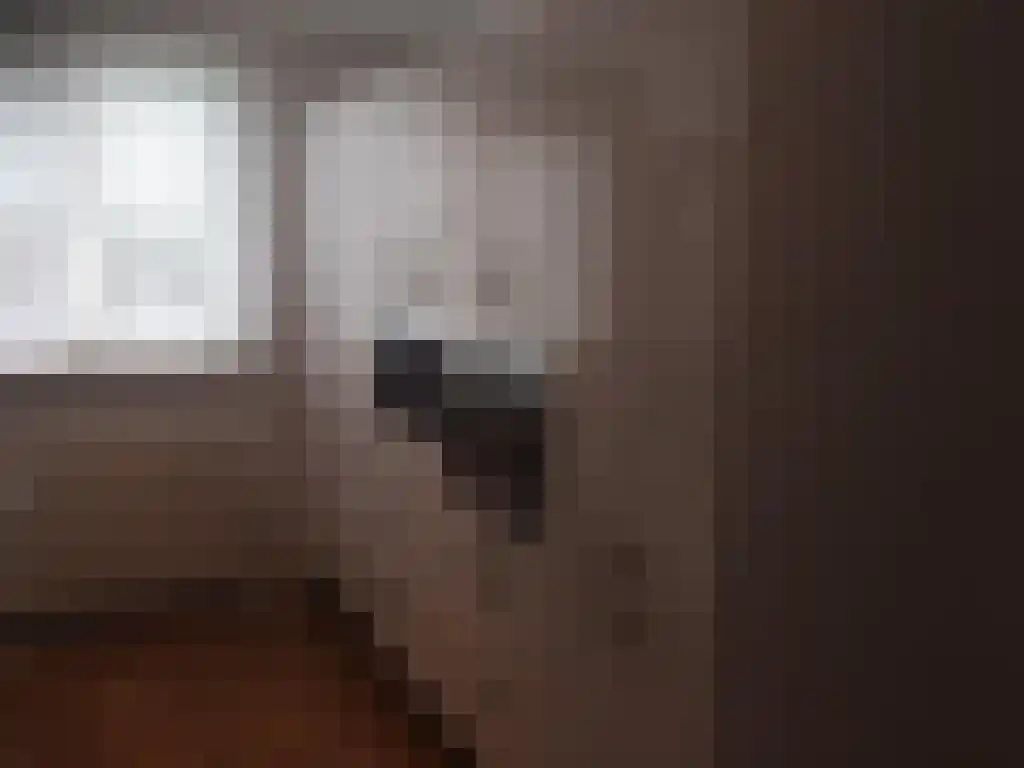 Abdijlaan 96 I Uden thumbnail 5