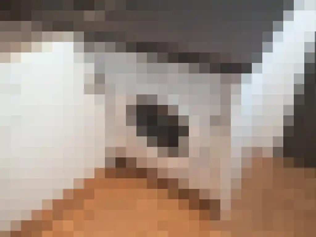 Abdijlaan 96 I Uden thumbnail 6