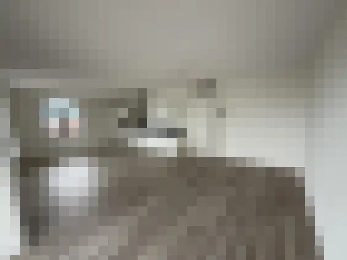 Abdijlaan 97 Uden thumbnail 5