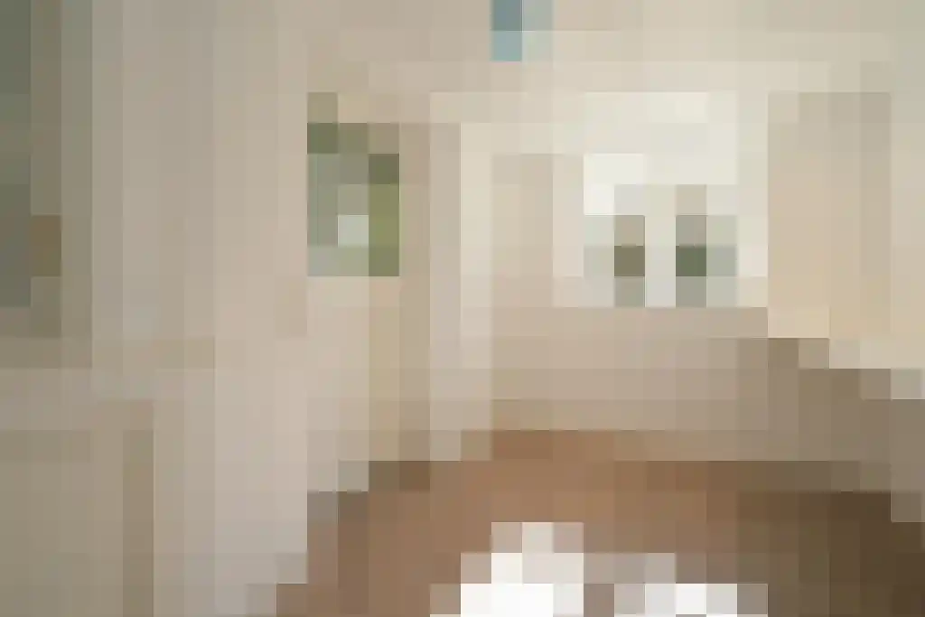 Abdijlaan 98 Uden thumbnail 5