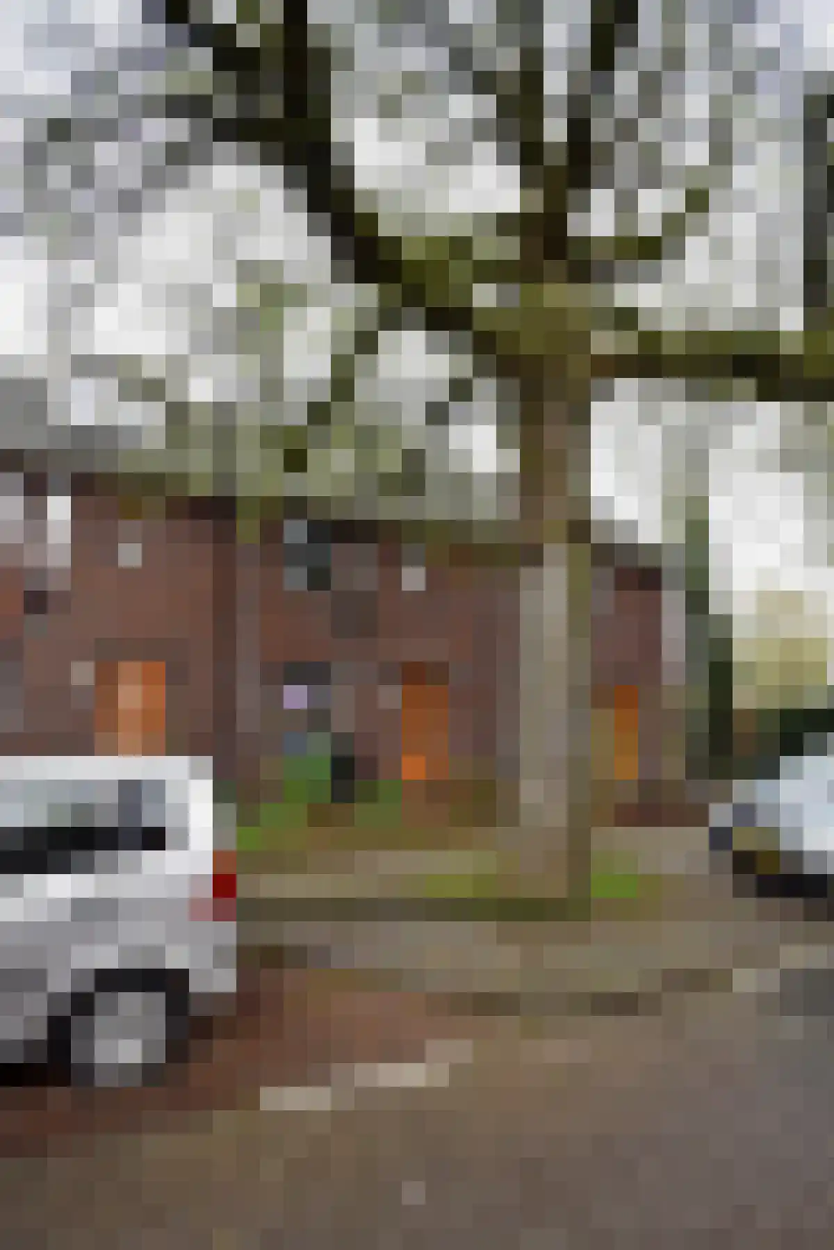 Abdijlaan Uden