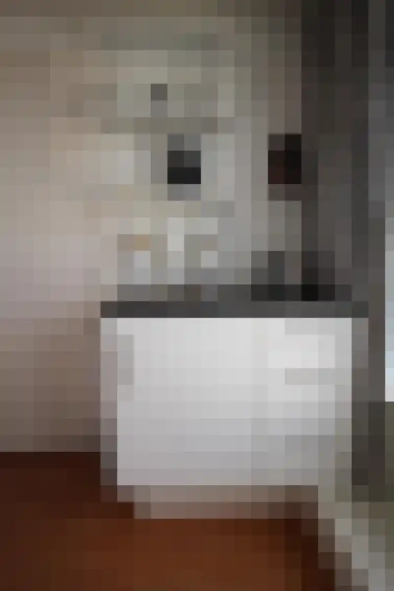 Abdijlaan Uden thumbnail 12