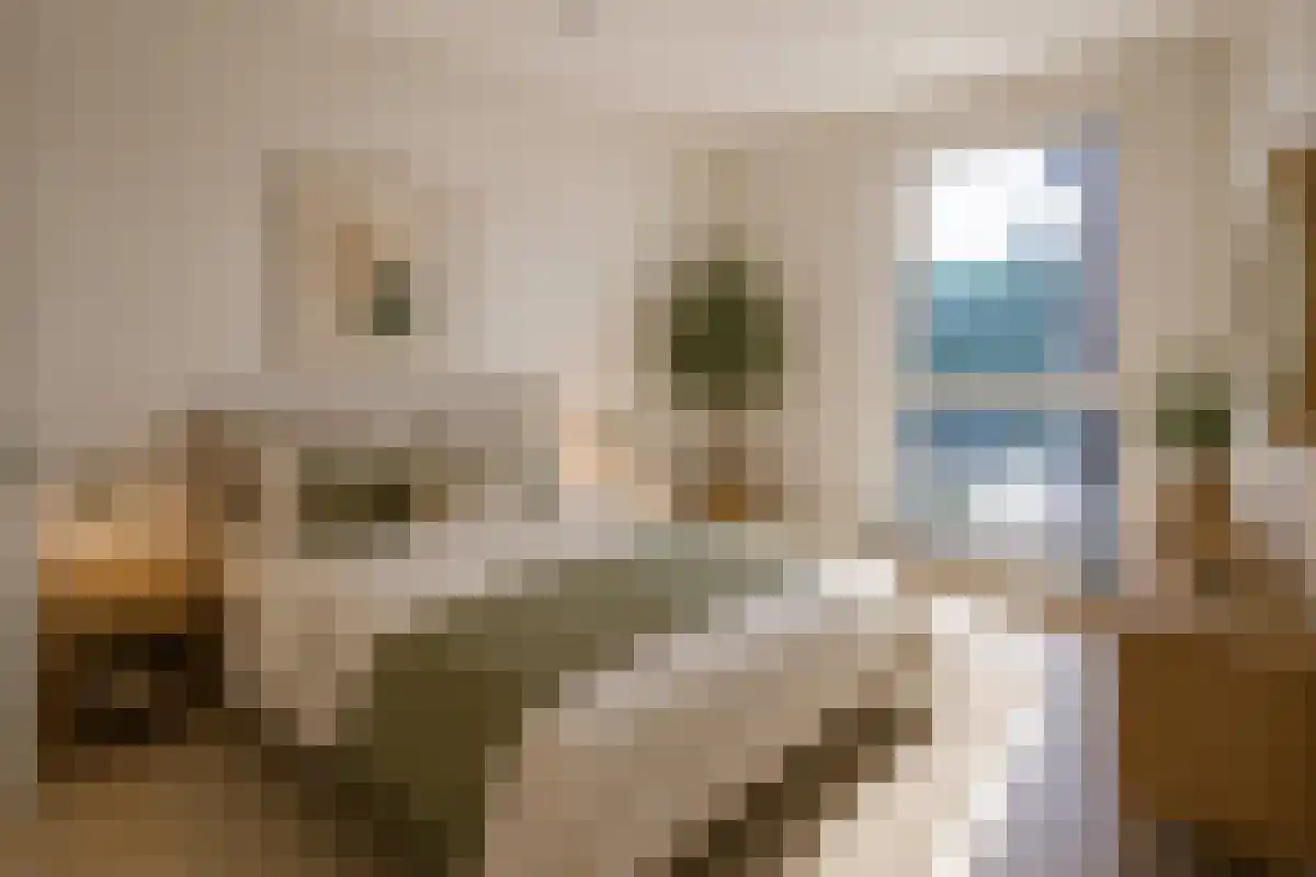 Abdijlaan Uden foto 2
