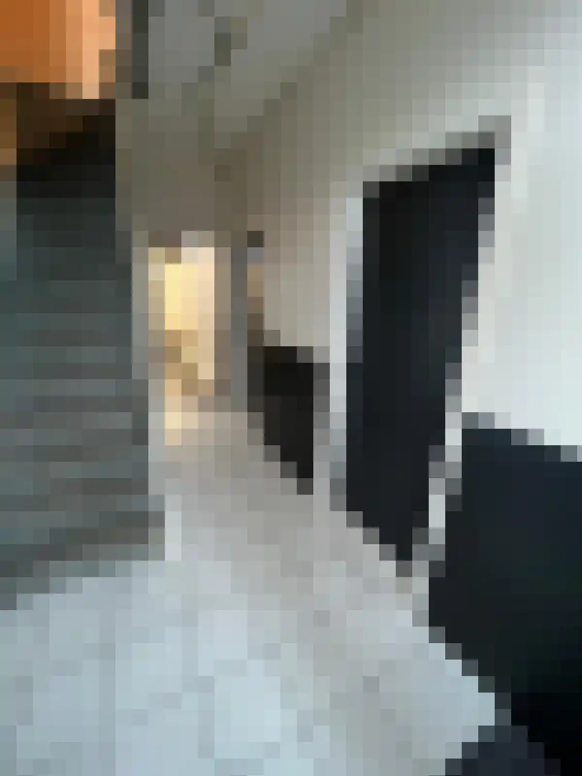 Abdijlaan Uden foto 2
