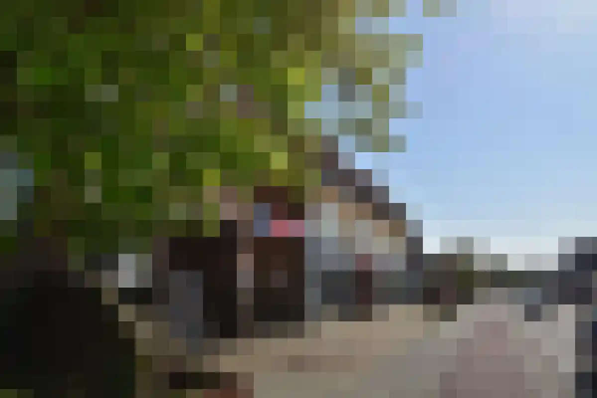 Abdijlaan Uden foto 2