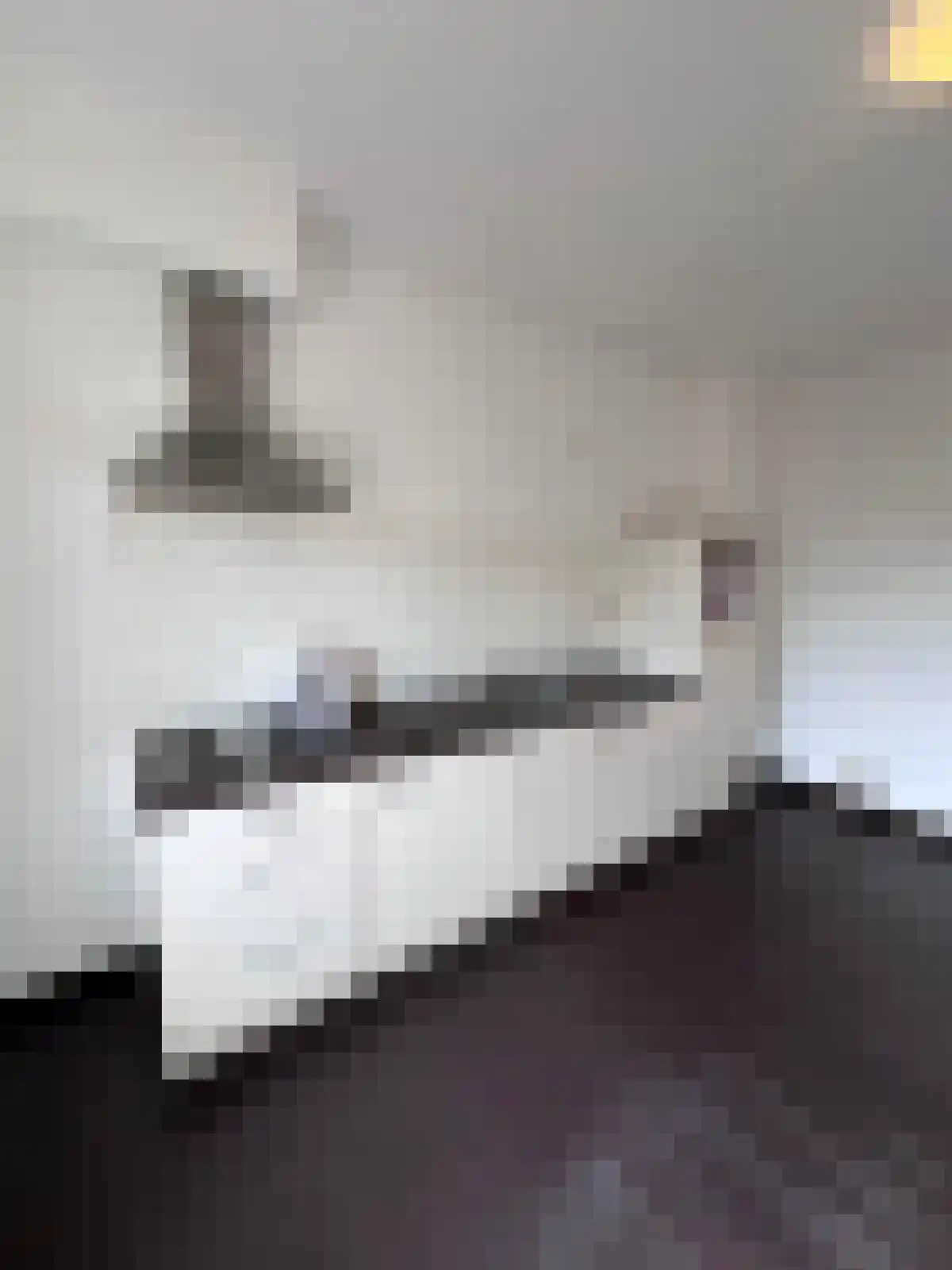 Abdijlaan Uden foto 2