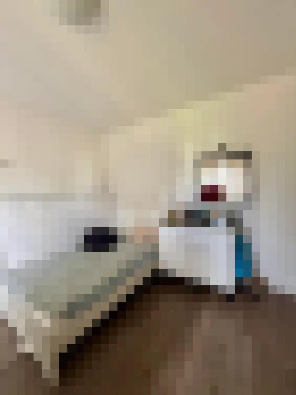 Abdijlaan Uden foto 3