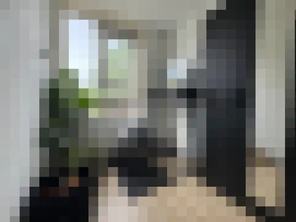 Abdijlaan Uden thumbnail 4