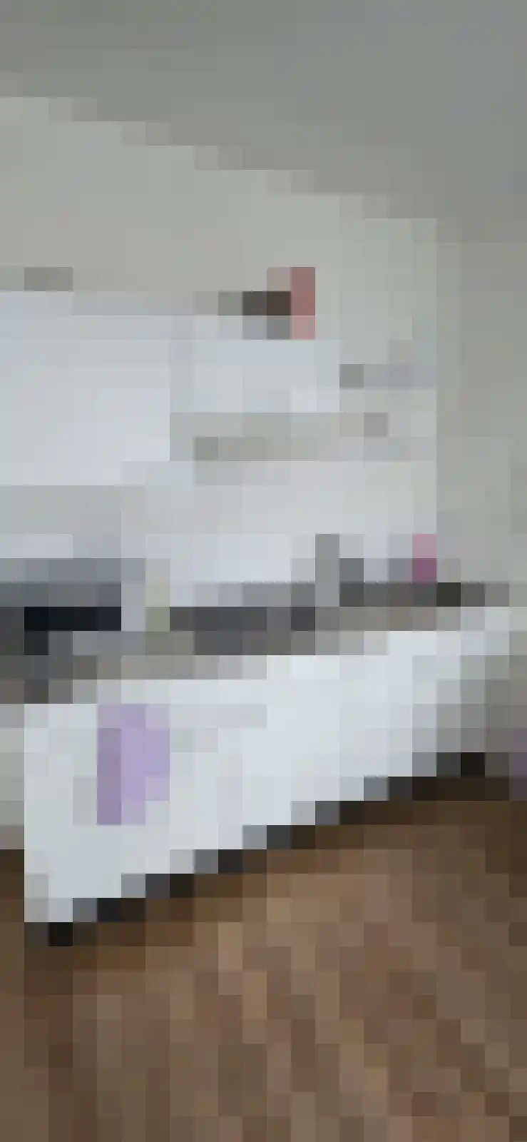 Abdijlaan Uden thumbnail 4