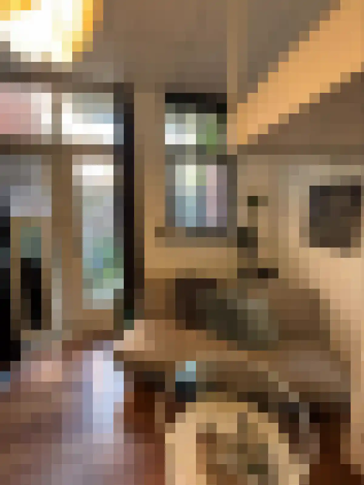 Abdijlaan Uden thumbnail 4