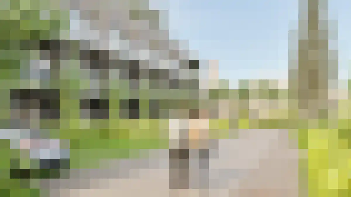 Abdijlaan Uden thumbnail 4