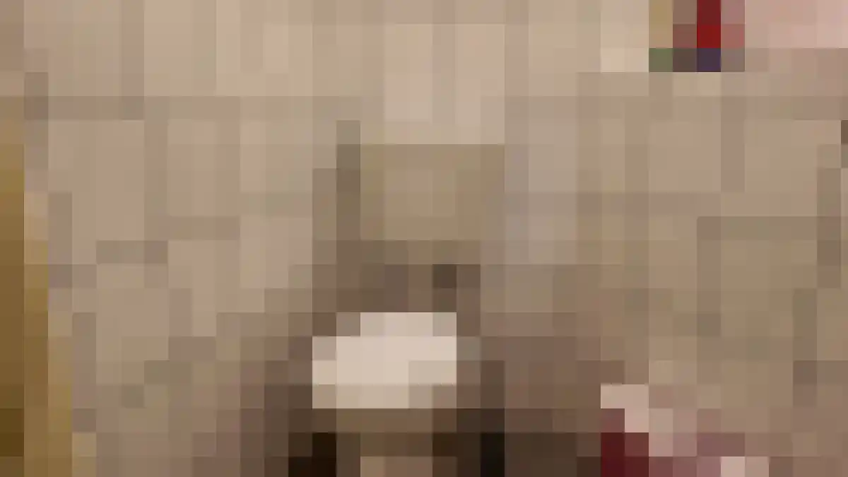 Abdijlaan Uden thumbnail 4