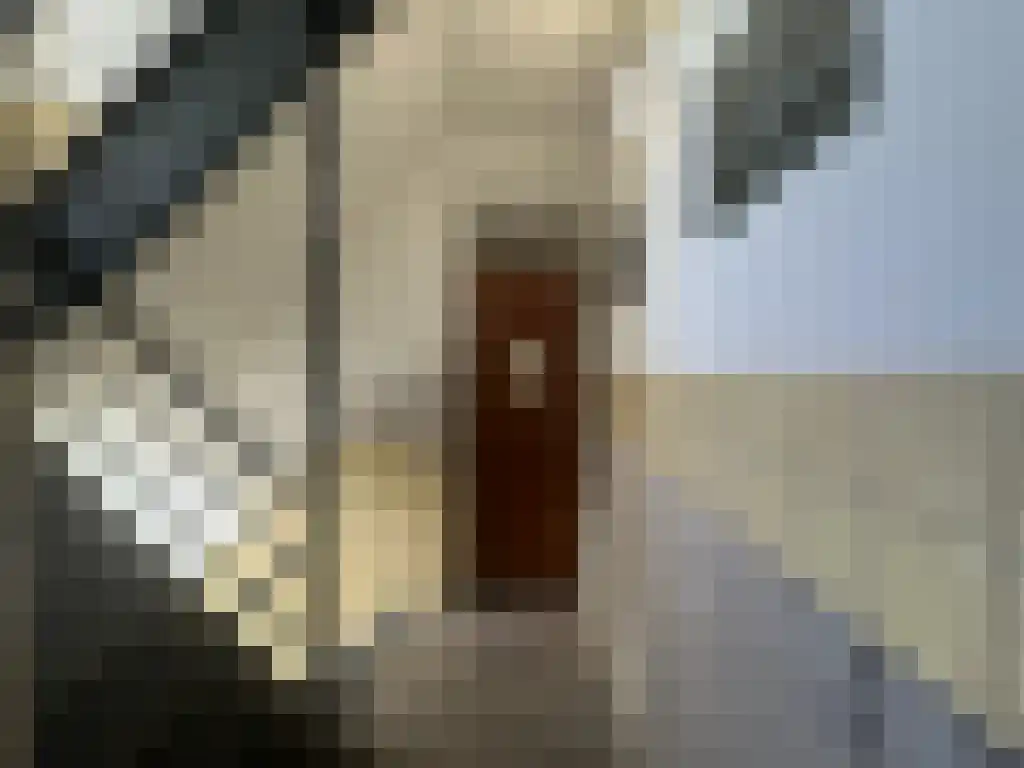 Abdijlaan Uden thumbnail 4