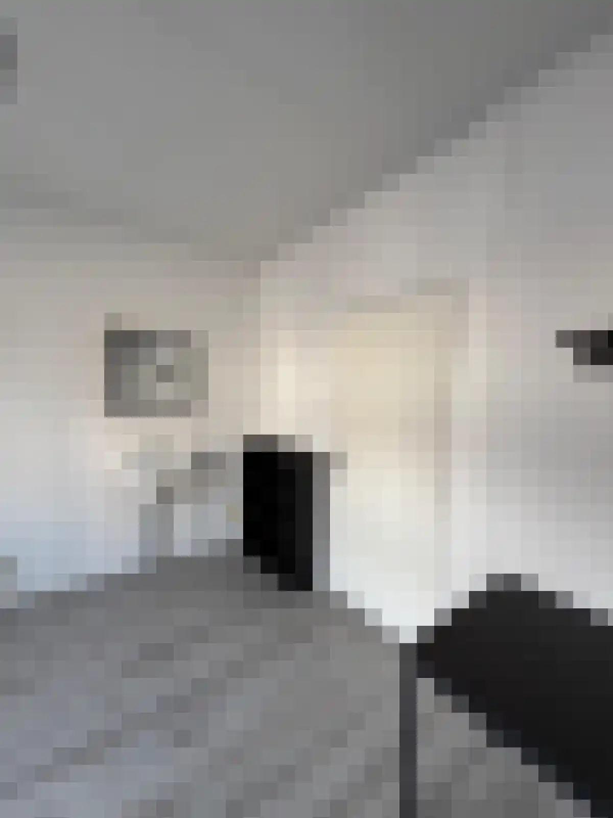 Abdijlaan Uden thumbnail 4
