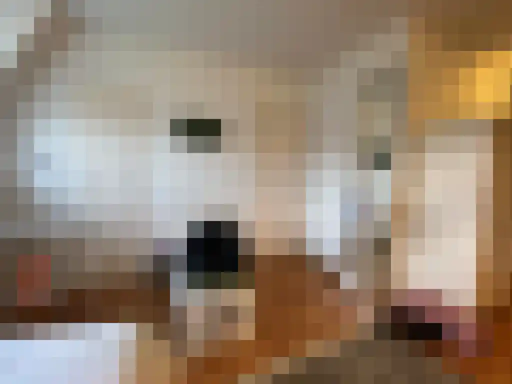 Abdijlaan Uden thumbnail 4