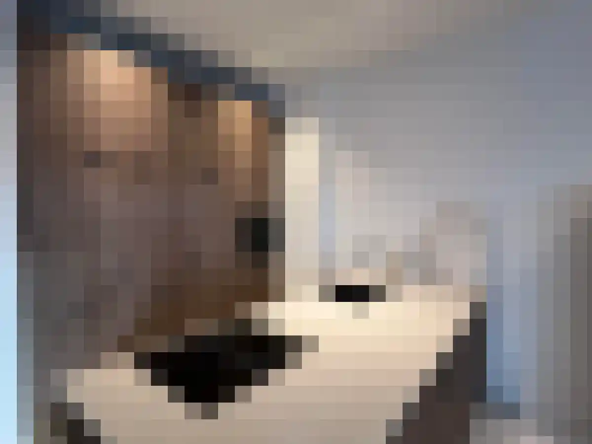 Abdijlaan Uden thumbnail 4