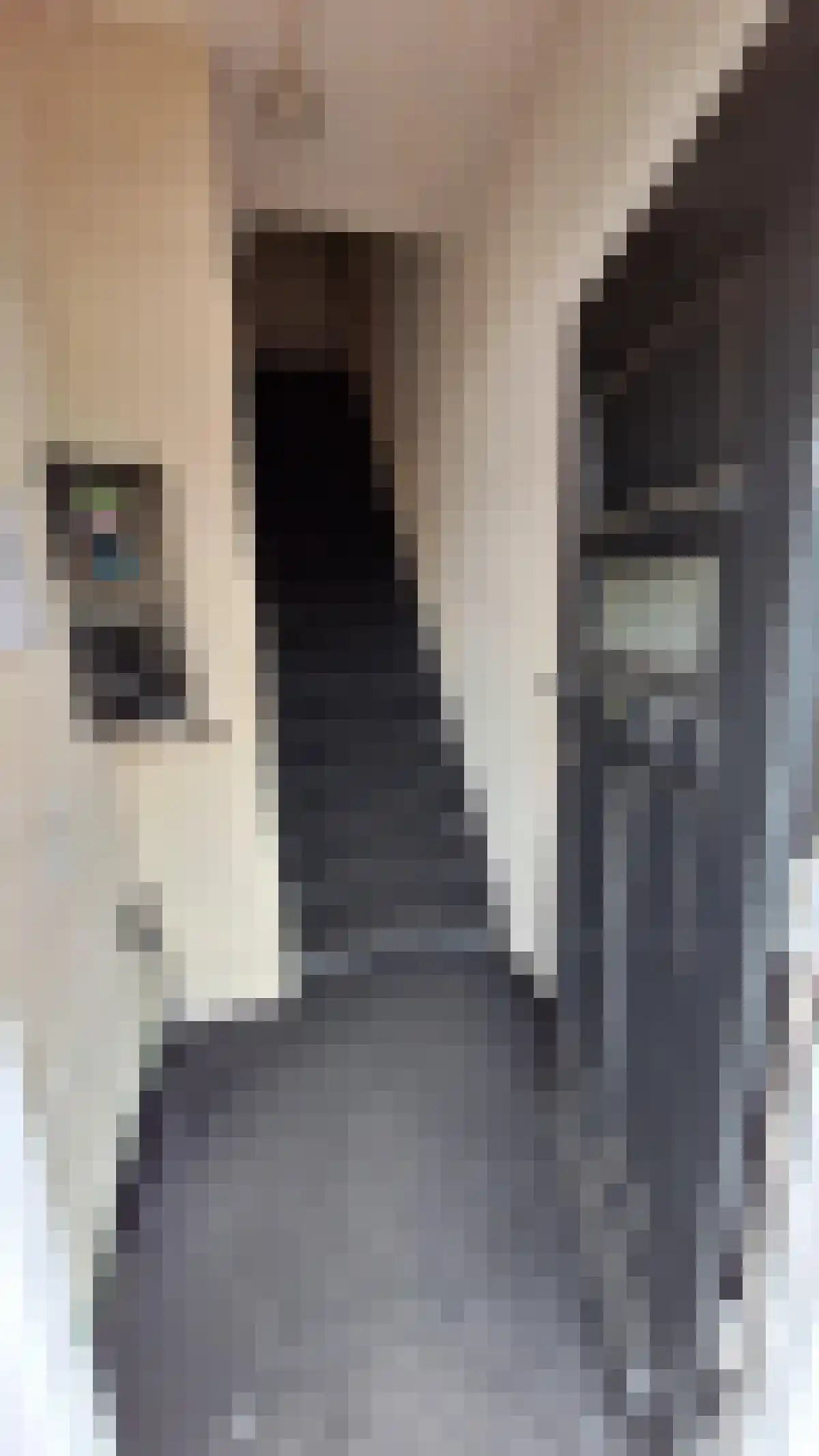 Abdijlaan Uden thumbnail 4