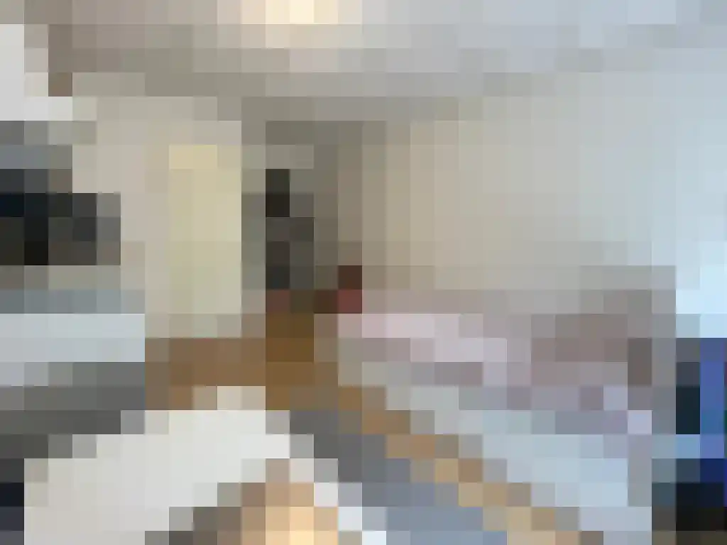 Abdijlaan Uden thumbnail 4