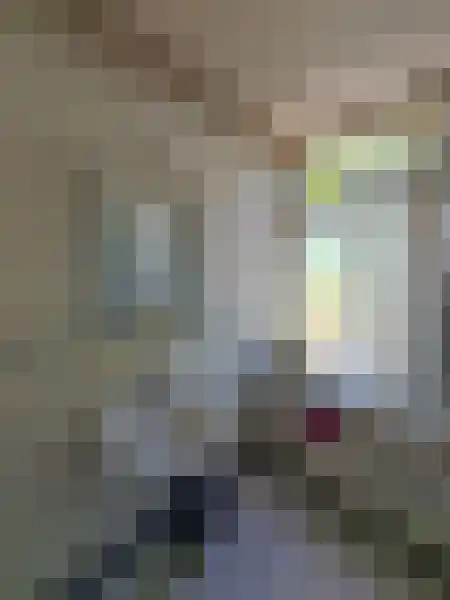 Abdijlaan Uden thumbnail 4