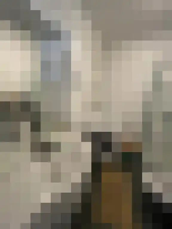 Abdijlaan Uden thumbnail 4