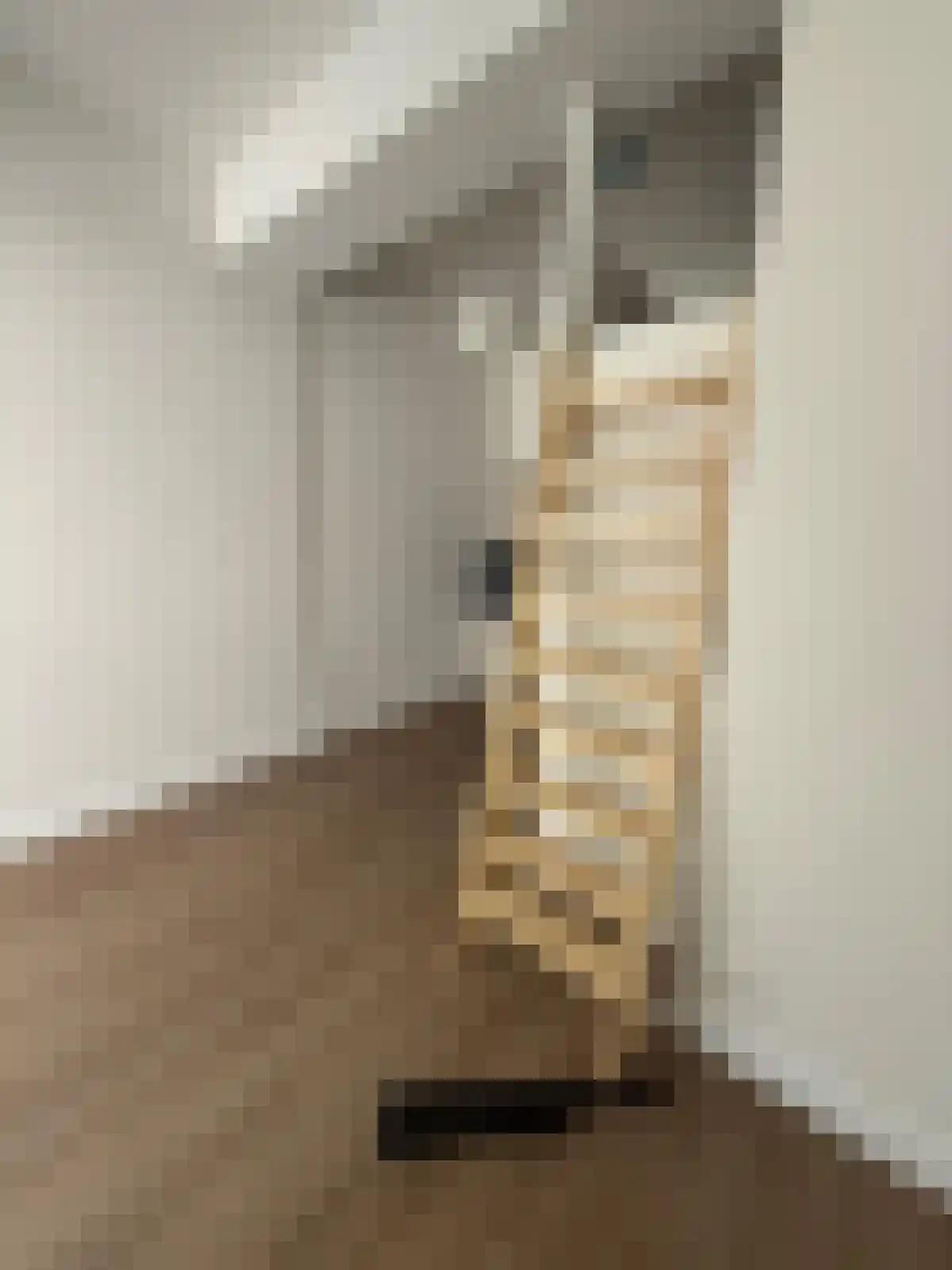 Abdijlaan Uden thumbnail 4