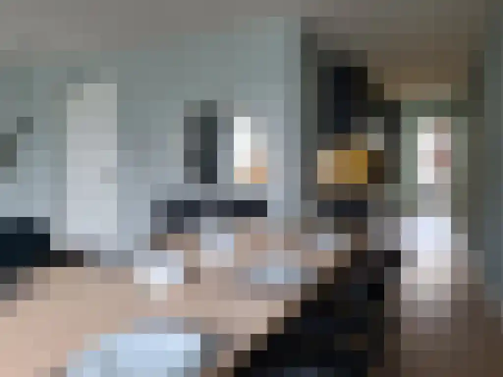 Abdijlaan Uden thumbnail 4