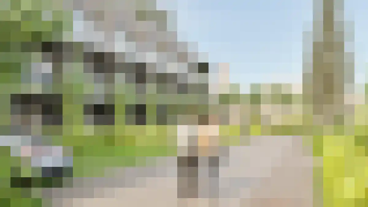Abdijlaan Uden thumbnail 4