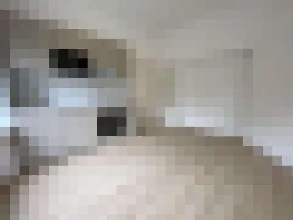 Abdijlaan Uden thumbnail 4