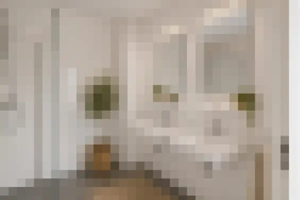 Abdijlaan Uden thumbnail 4